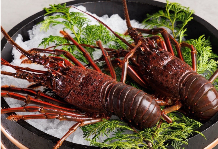 【逸品】産地より直送の厳選食材を用いた料理の数々